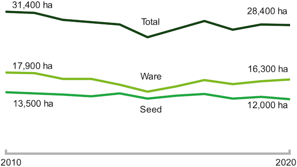 A chart showing planted areas of seed, ware and total potatoes from 2010-2020.