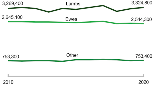 A chart showing lambs, ewes and other sheep from 2010-2020.