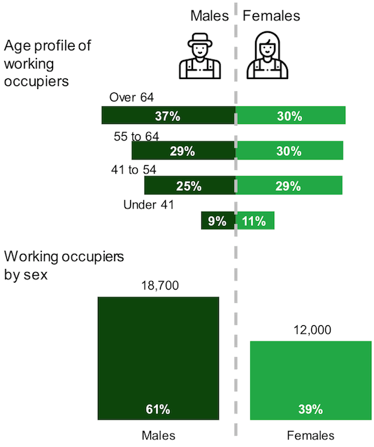 A chart showing the number of working occupiers (occupier and spouse) by age group and gender.