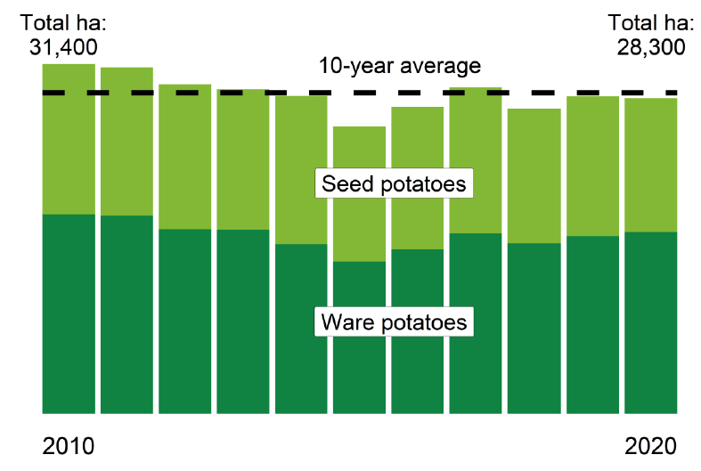 A chart showing a breakdown of the total planted area of potatoes from 2010-2020.