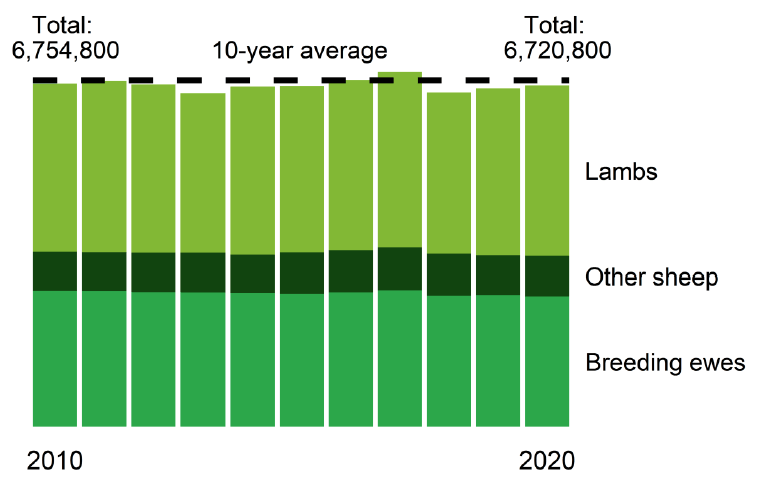 A chart showing a breakdown of the total sheep numbers from 2010-2020.