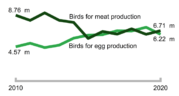 A chart showing birds for meat production and birds for egg production from 2010-2020.