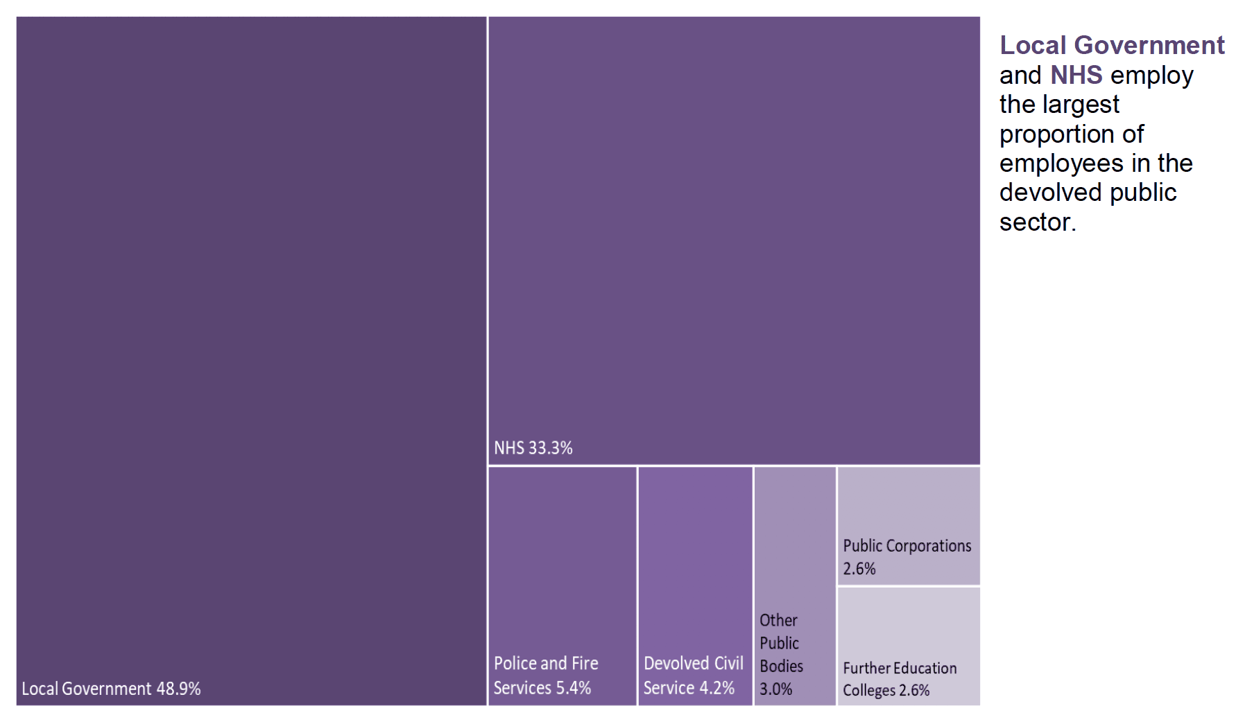 Chart 4 tree map of devolved Public Sector Employment showing relative size of public bodies 