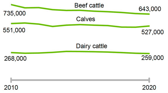 A time series chart showing beef cattle, calves and dairy cattle from 2010 to 2020.