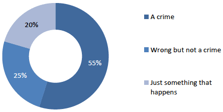 Chart showing victim's description of violent crime incidents experienced