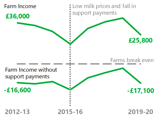 A chart shows average Farm Business Income each year from 2012-13 to 2019-20, with and without the inclusion of support payments. 
