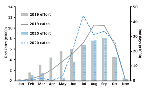 Graph showing the 2019 and 2020 rod effort and catch by month for comparison.