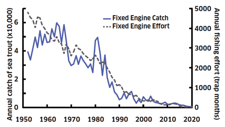 Line graph showing annual fixed engine catch and effort since 1952.