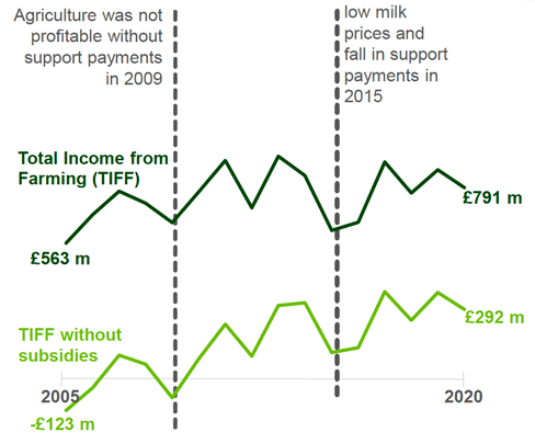 A line chart showing total income from farming with and without support payments from 2005 to 2020. 