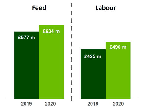 A column chart showing farm costs for feed and for labour in 2019 and 2020. 