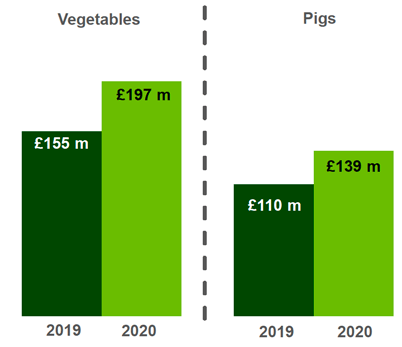 A column chart showing the value of vegetables and pig output in 2019 and 2020. 