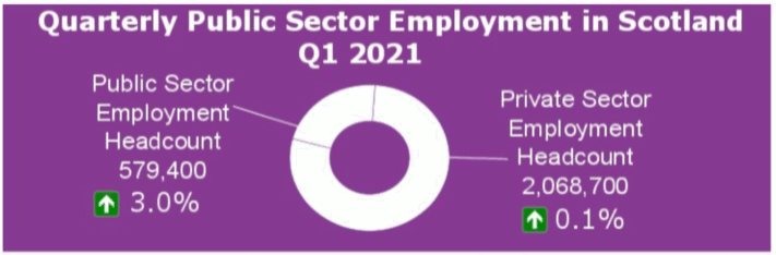 Figure 1 Section 1 pie chart of Public and Private sector headcount for Q1 2021 with annual percentage change below.