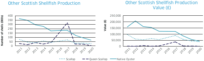 Other Scottish Shellfish Production / Other Scottish Shellfish Production Value (£)