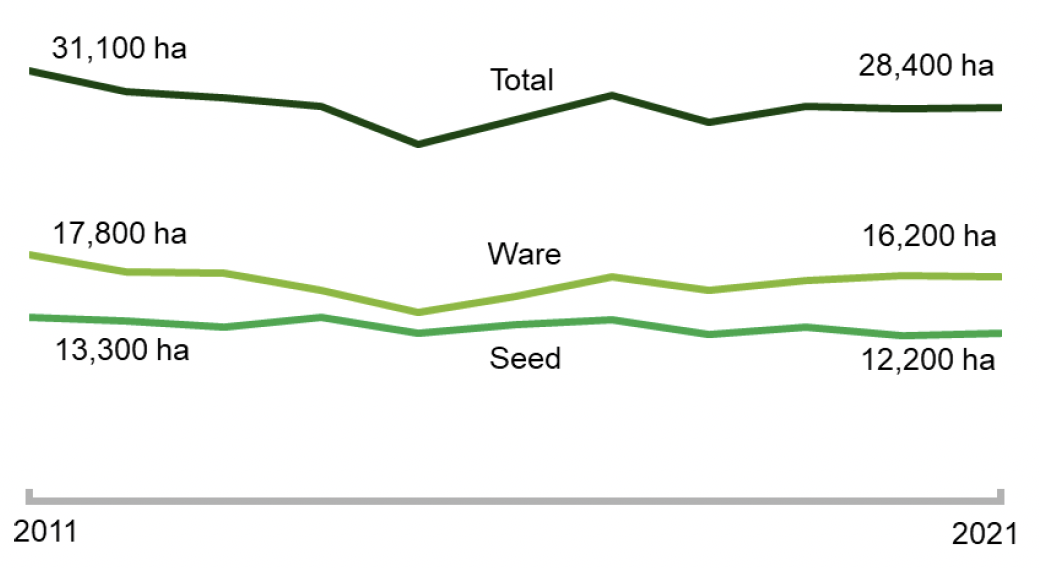 A chart showing planted areas of seed, ware and total potatoes from 2011-2021.