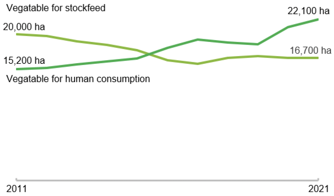 A chart showing the area used to grow vegetables for human consumption and vegetables for stockfeed from 2011-2021.