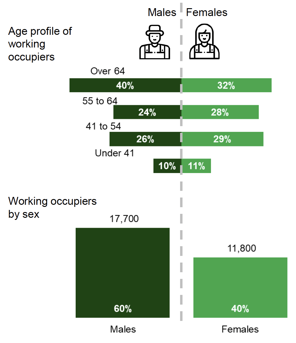 A chart showing the number of working occupiers (occupier and spouse) by age group and gender.