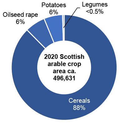 Doughnut chart showing percentage areas of arable crop types grown in Scotland in 2020