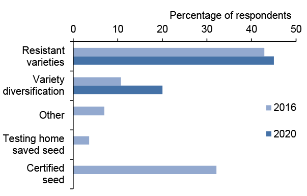 Bar chart of percentage responses to questions about variety and seed choice where resistant varieties was the most common response in 2020.