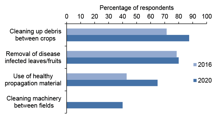 Bar chart of percentage responses to questions about crop hygiene where cleaning up debris between crops is most common.