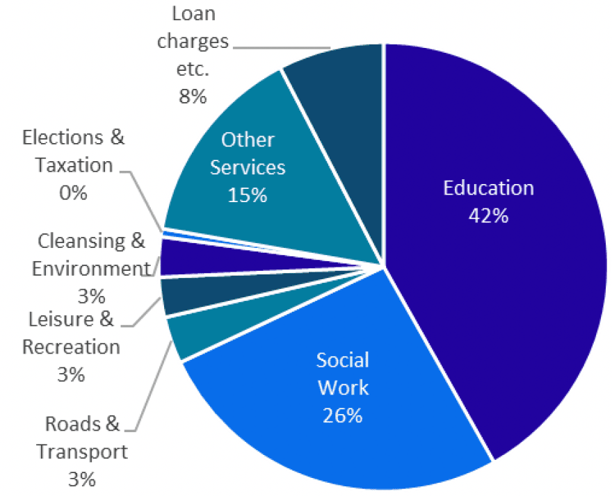Pie chart showing the proportions distributed in each broad service area