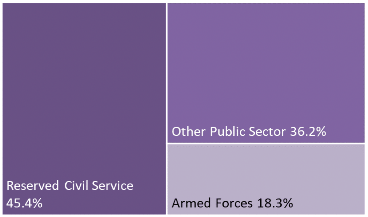 tree map of reserved Public Sector Employment showing relative size of public bodies 