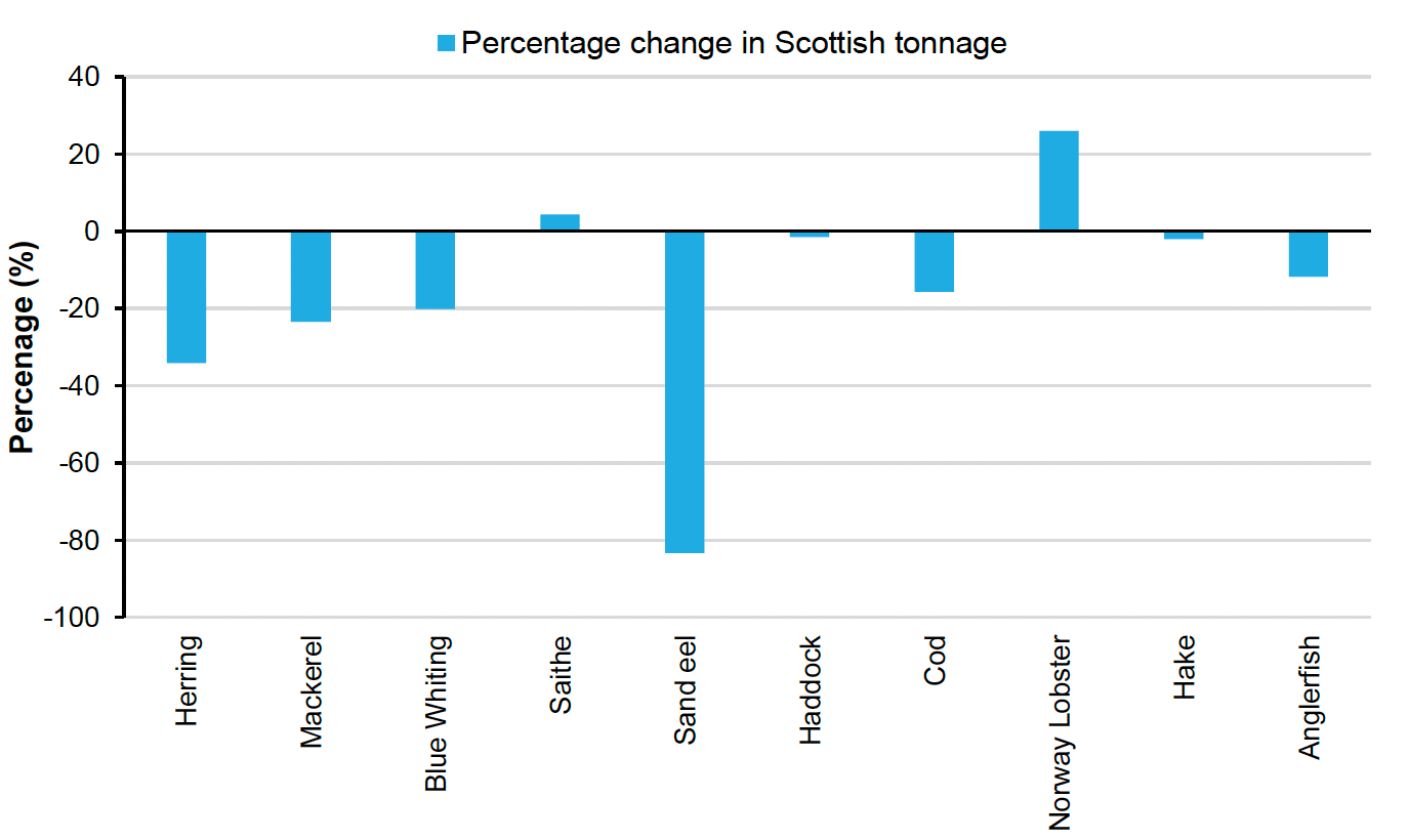 Figure 6: Vertical bar chart showing the percentage change in tonnage of fish captured by species between 2018 and 2019. All species saw a decline apart from saithe and norway lobster.