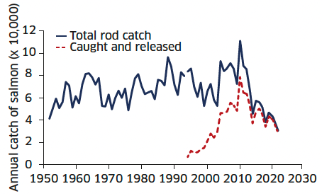 Line graph showing the annual rod catch from 1952 to 2021, comparing the total number caught and number caught and released