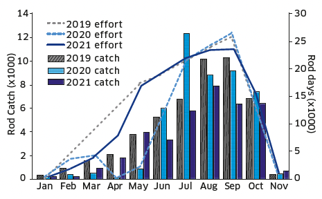 Line graph comparing monthly rod effort, combined with bar graph comparing monthly rod catch, for 2019, 2020 and 2021 seasons