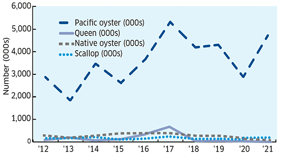 showing Pacific oyster, Queen scallop, native oyster and scallop production total (by number of thousands of shells) for the years 2012 through to 2021