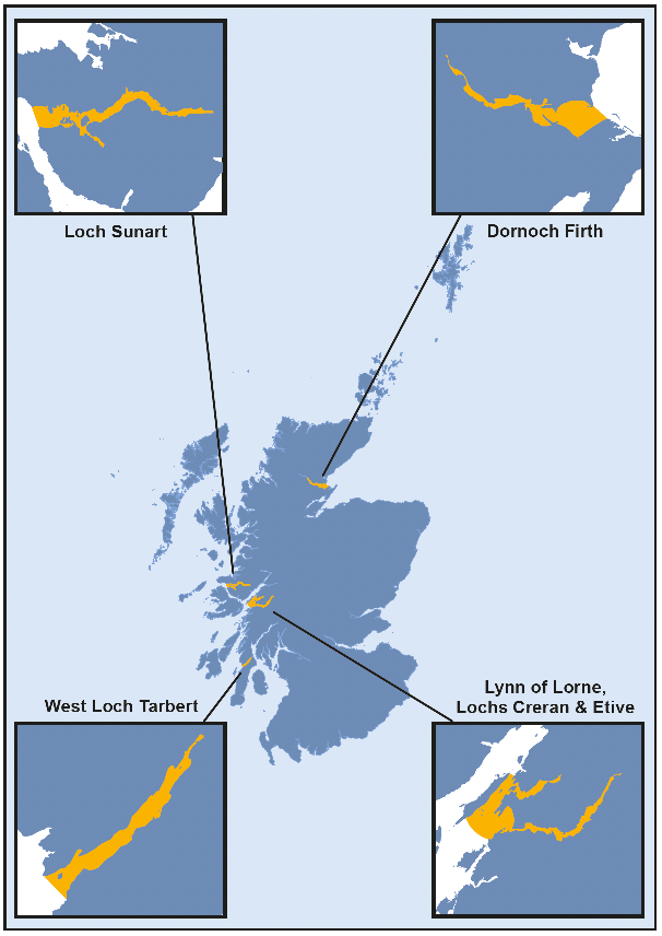 Map of Scotland illustrating the areas where movement restrictions are in place for the presence of Bonamia ostreae, these are highlighted in orange. The highlighted areas are also displayed as inset maps and show the following highlighted areas at a larger scale: Loch Sunart, the Dornoch Firth, West Loch Tarbet and Lynn of Lorne, Lochs Creran and Etive.