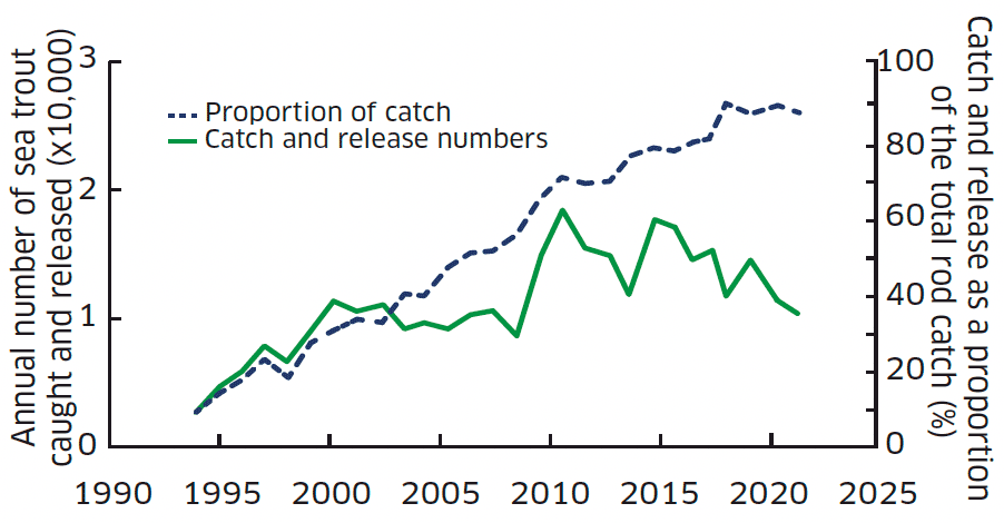 Line graph showing annual released rod catch number and the proportion of total rod catch that was released from 1994 to 2021
