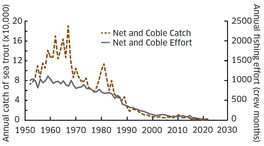 Line graph showing annual retained net and cobble catch and effort since 1952