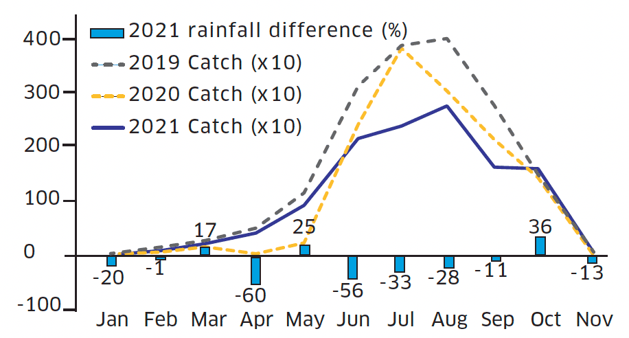 Line graph showing monthly total retained catch since 2019, combined with bar chart of monthly 2021 rainfall as percentage difference from 1991 to 2020 average