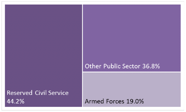 tree map of reserved Public Sector Employment showing relative size of public bodies