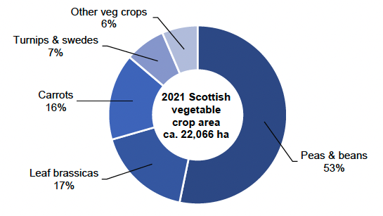 Doughnut chart showing percentage areas of vegetable crop types grown in Scotland in 2021.