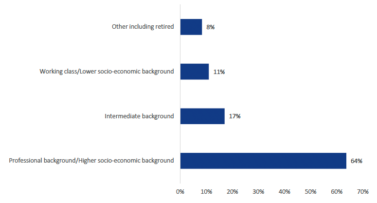 Bar chart visualising proportion of respondents split by socio-economic category. The chart shows that the majority of respondents were from a higher socio-economic background.