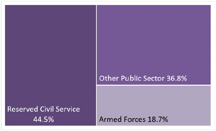 tree map of reserved Public Sector Employment showing relative size of public bodies 