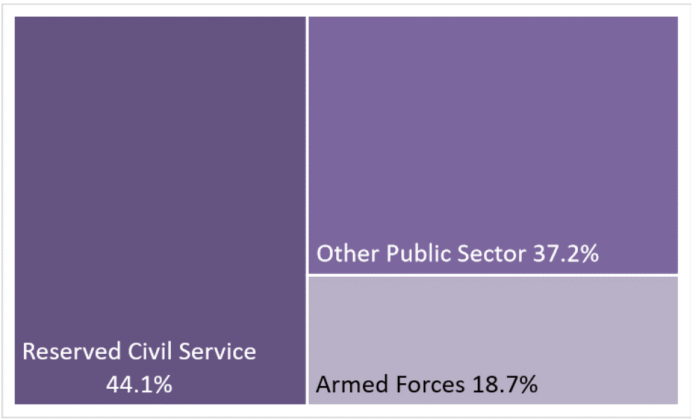 Chart 4. tree map of reserved Public Sector Employment showing relative size of public bodies 
