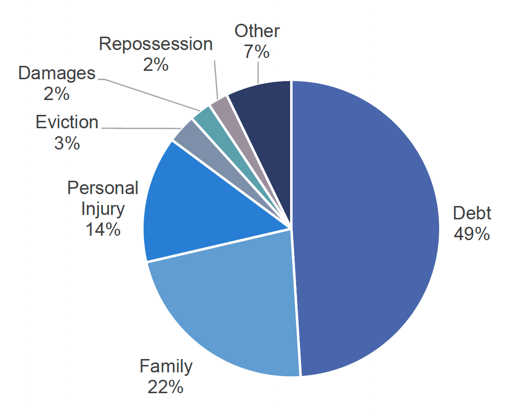 A pie chart showing the proportion of the types of cases going through the courts. Debt is the most common (49%), family (22%), personal injury (14%), eviction (3%), damages (2%) and repossession (2%).