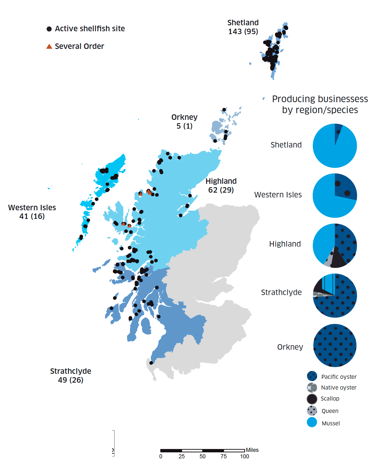 This is a map showing the distribution of active shellfish sites in Scotland in 2022. The map is split into five areas: Shetland, Orkney, Western Isles, Highland and Strathclyde and has black dots showing where each site is on the map. There are also five red triangles showing the location of the Several Order which are currently in place for scallop fisheries, these are all located in the Highland region. Pie charts show number of producing businesses by region and species.