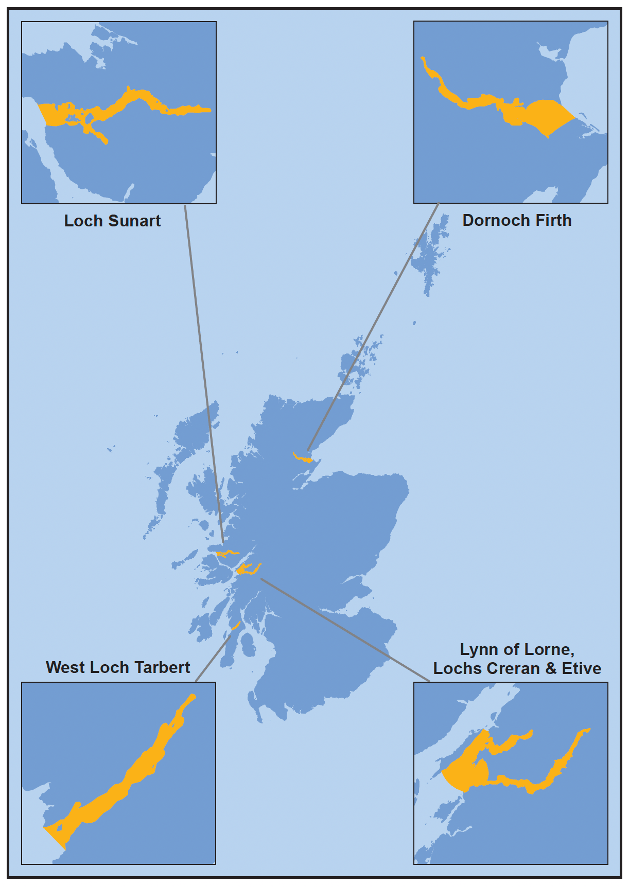Map of Scotland illustrating the areas where movement restrictions are in place for the presence of Bonamia ostreae, these are highlighted in orange. The highlighted areas are also displayed as inset maps and show the following highlighted areas at a larger scale: Loch Sunart, the Dornoch Firth, West Loch Tarbet and Lynn of Lorne, Lochs Creran and Etive.  