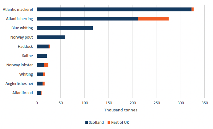 Bar chart showing atlantic mackerel, Scotland’s most caught fish, represented 99% of total UK mackerel capture in 2020. 
