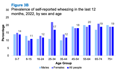 A bar graph showing differences in the proportion of people reporting wheezing in the last 12 months in 2022 by sex and age. The graph shows the proportion increasing with age for males and females.