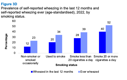 A bar graph showing differences in the proportion of people reporting wheezing in the last 12 months and ever wheezing in 2022 by smoking status. The graph shows higher prevalence of wheezing for current and previous smokers than non-smokers.