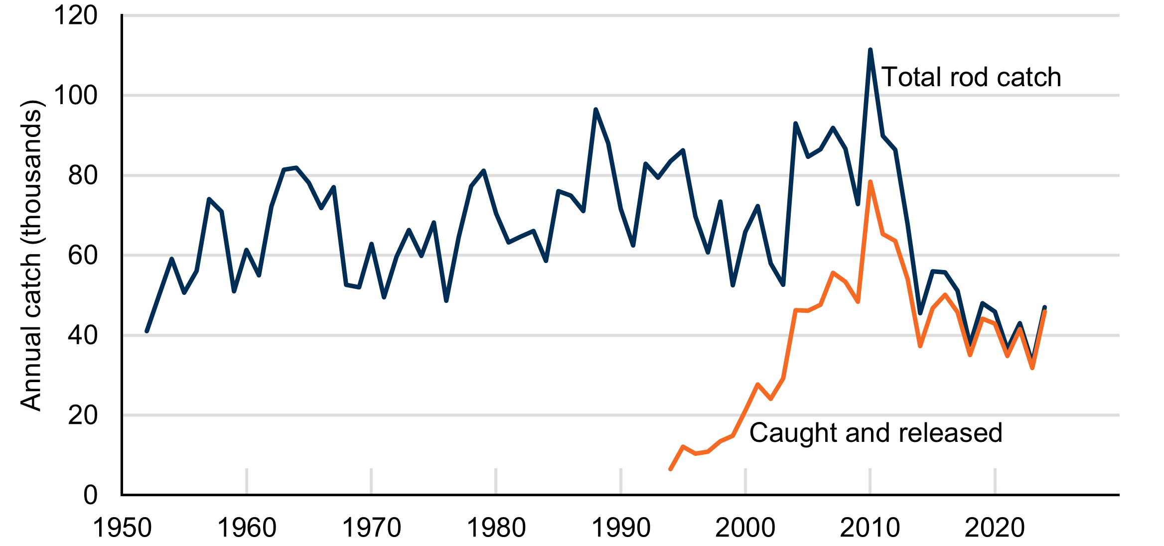 Line chart with two lines: one showing total rod catch of salmon increasing from 1952 until 2010 and decreasing since; the other showing released rod catch increasing from 1994 until 2010, and declining since. The total rod catch and released rod catch lines are converging.