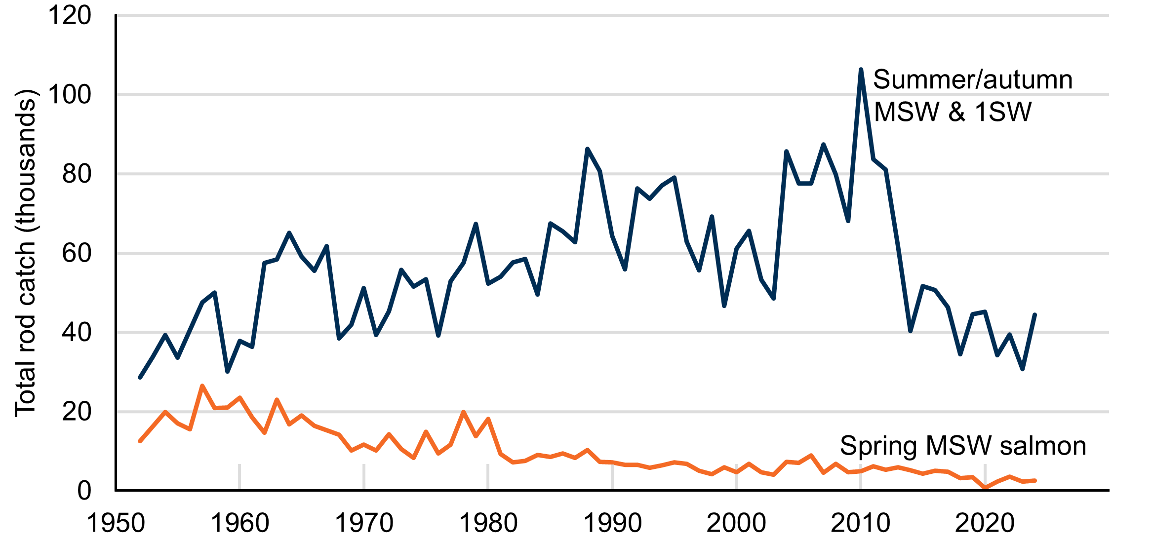 Line chart with two lines: one showing annual catch of summer/autumn MSW and 1SW salmon increasing from 1952 to a peak in 2010, and declining since; the other showing catch of spring MSW salmon declining since 1952.