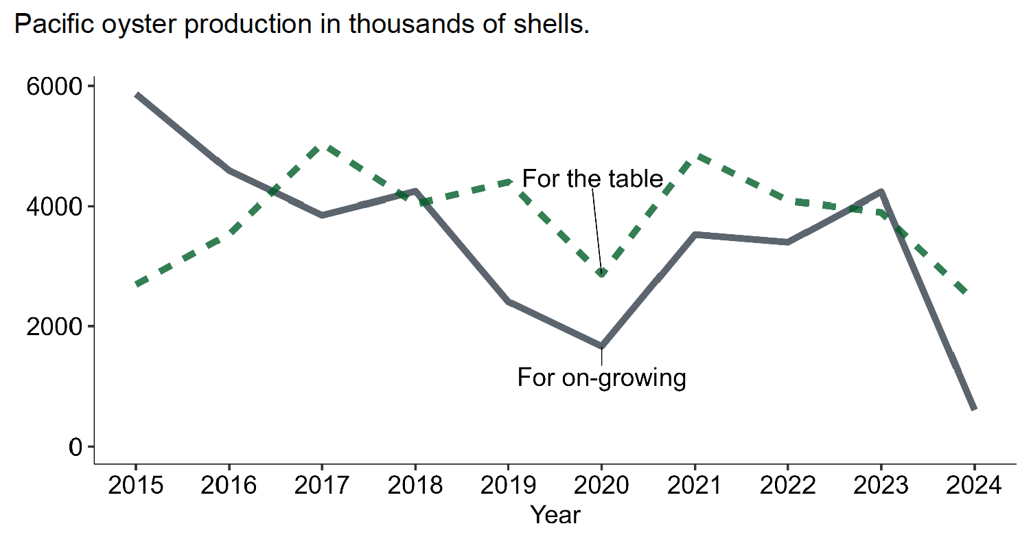 Chart 2 showing line graph of trends in Pacific oyster production. Upper green dashed line shows production for table, lower solid dark grey line shows production for on-growing. Values for this chart are available in the supplementary data - Table 2.