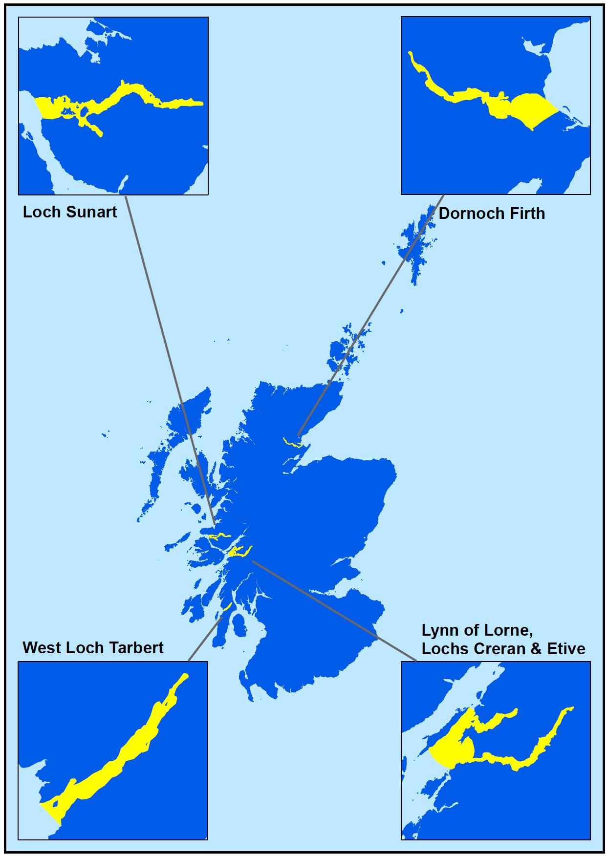 Figure 2 showing map of Scotland illustrating the areas where movement restrictions are in place for the presence of Bonamia ostreae, these are highlighted in yellow. The highlighted areas are also displayed as inset maps and show the following highlighted areas at a larger scale: Loch Sunart, the Dornoch Firth, West Loch Tarbet and Lynn of Lorne, Lochs Creran and Etive.