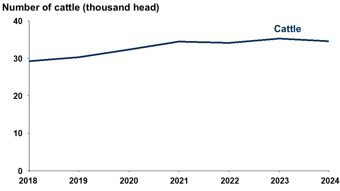 Line graph showing change in cattle numbers over time from 2018 to 2024. There is a steady increase over time but levels out around 2021.