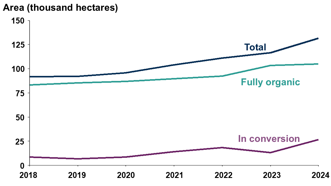 A line graph with three lines representing the change in area over time of total organic area, fully organic area, and in-conversion organic area. All three variables have increased between 2018 and 2024 which are the x axis limitations of the chart. The y axis limitations are 0 and 150,000 hectares. There is significantly more fully organic area compared to in-conversion organic area across all years.